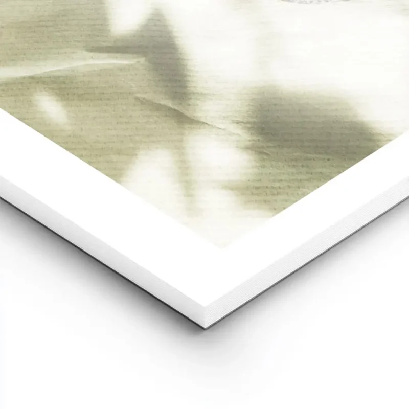 affiche de deux moities davocat sur papier vert avec des ombres creant des motif lightpanel.webp