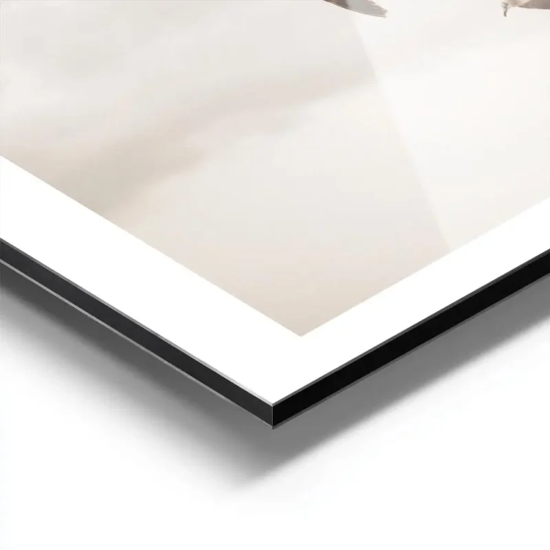 affiche de deux oiseaux volant dans un ciel nuageux de couleur beige aluminium.webp