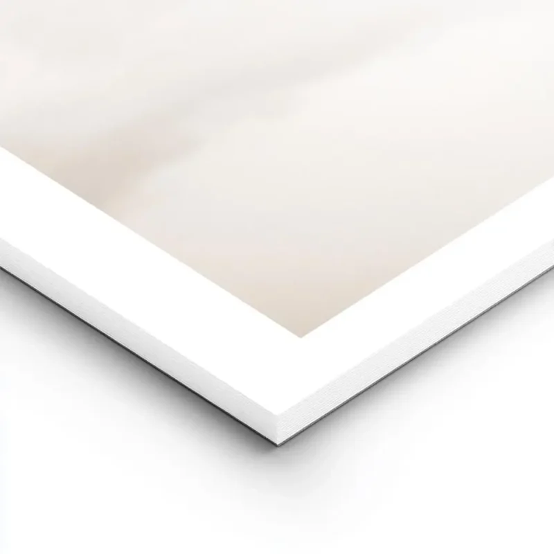 affiche de deux oiseaux volant dans un ciel nuageux de couleur beige lightpanel.webp
