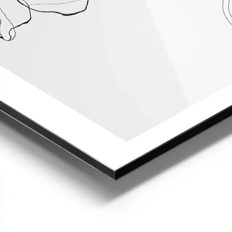 affiche de deux pavots gris clair aux lignes fines et elegantes dessines a la ma aluminium.webp
