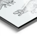 affiche de dinosaures dessines a la main en noir sur fond bleu vert avec leurs n aluminium.webp
