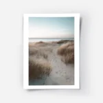 affiche de dunes de sable avec herbe de plage et ocean calme au coucher du solei.webp