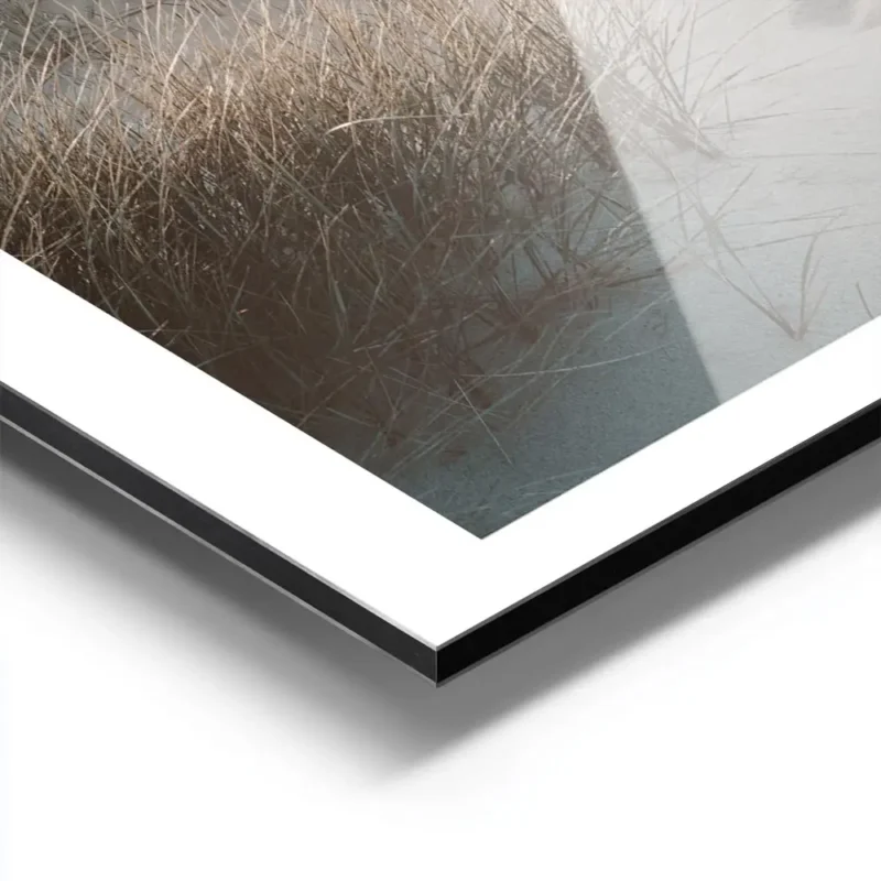 affiche de dunes de sable avec herbe de plage et ocean calme au coucher du solei aluminium.webp