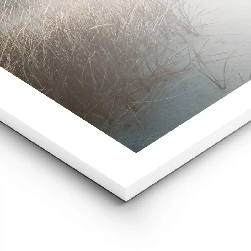 affiche de dunes de sable avec herbe de plage et ocean calme au coucher du solei lightpanel.webp