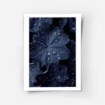 affiche de feuilles bleues foncees couvertes de gouttes de pluie creant un motif.webp