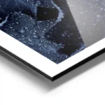 affiche de feuilles bleues foncees couvertes de gouttes de pluie creant un motif aluminium.webp