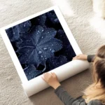 affiche de feuilles bleues foncees couvertes de gouttes de pluie creant un motif au sol.webp