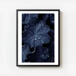 affiche de feuilles bleues foncees couvertes de gouttes de pluie creant un motif avec cadre.webp