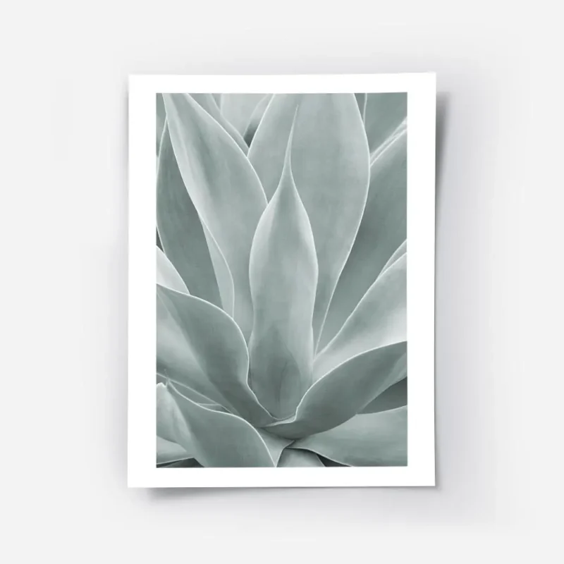 affiche de feuilles dagave vertes rapprochees avec un degrade de couleurs claire.webp