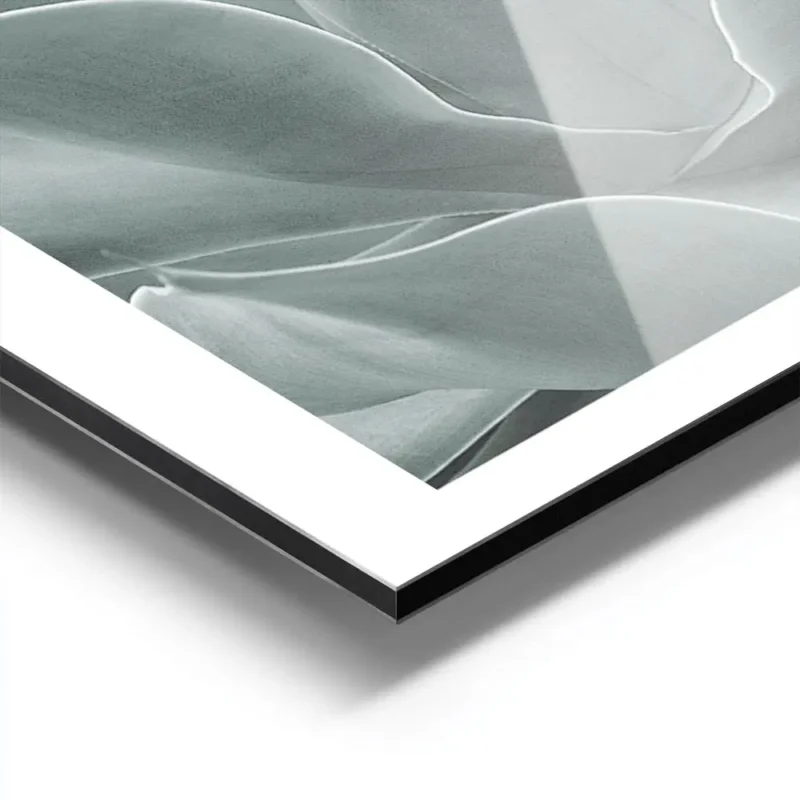 affiche de feuilles dagave vertes rapprochees avec un degrade de couleurs claire aluminium.webp