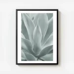affiche de feuilles dagave vertes rapprochees avec un degrade de couleurs claire avec cadre.webp