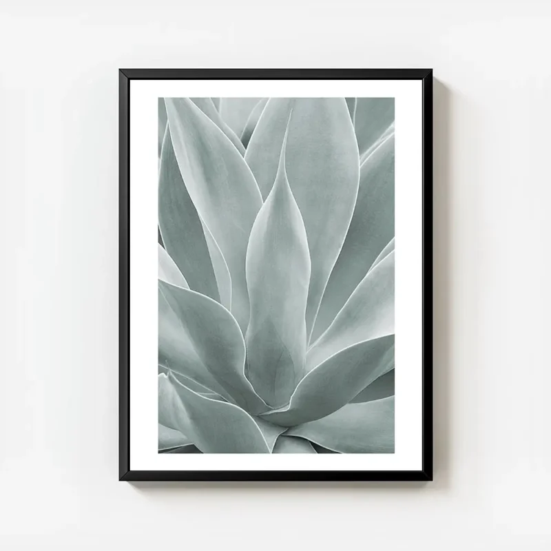 affiche de feuilles dagave vertes rapprochees avec un degrade de couleurs claire avec cadre.webp