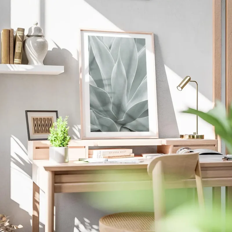 affiche de feuilles dagave vertes rapprochees avec un degrade de couleurs claire bureau.webp