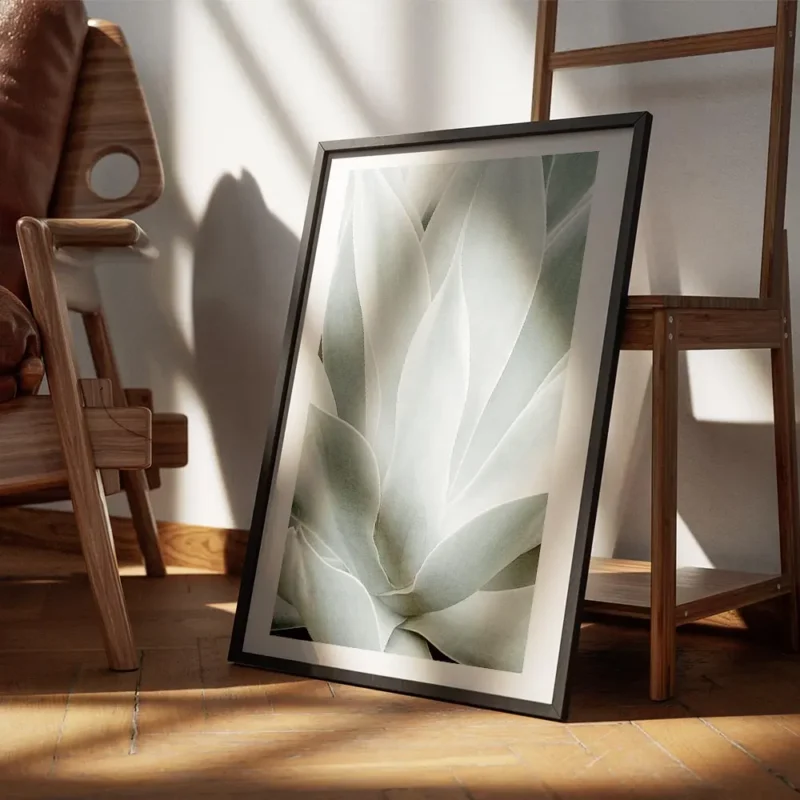 affiche de feuilles dagave vertes rapprochees avec un degrade de couleurs claire encadre.webp