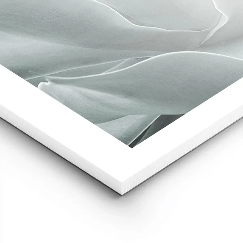 affiche de feuilles dagave vertes rapprochees avec un degrade de couleurs claire lightpanel.webp