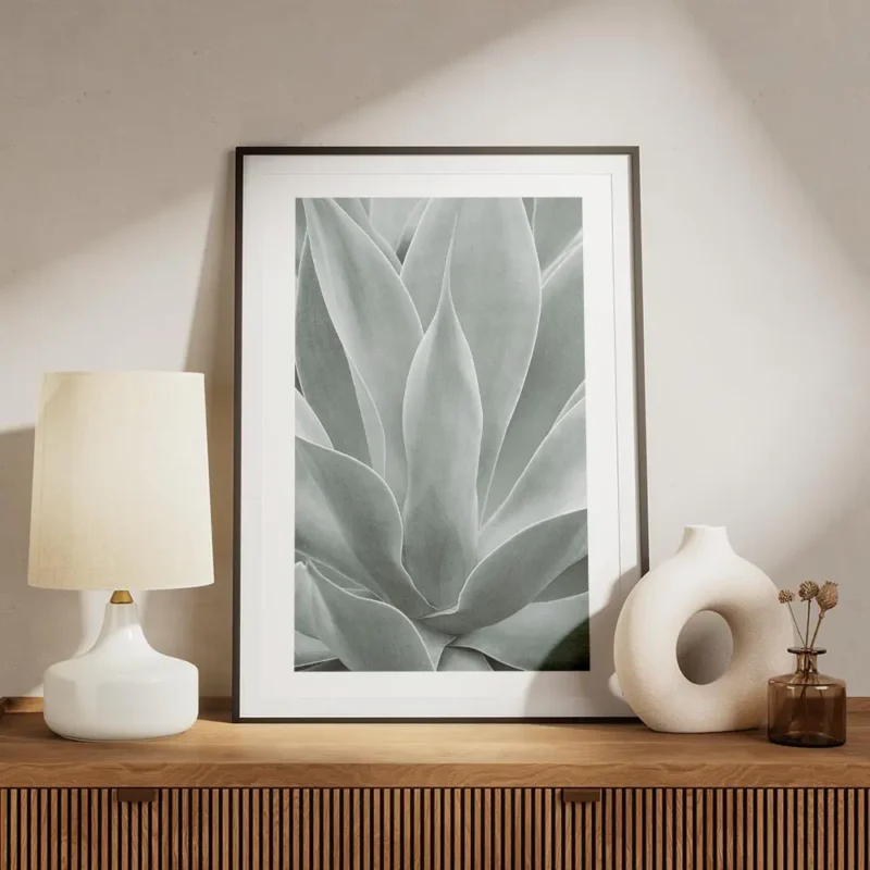 affiche de feuilles dagave vertes rapprochees avec un degrade de couleurs claire meuble.webp