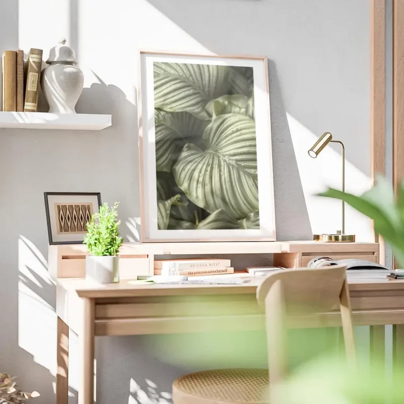 affiche de feuilles de calathea hosta vertes a rayures grises avec des gouttes d bureau.webp