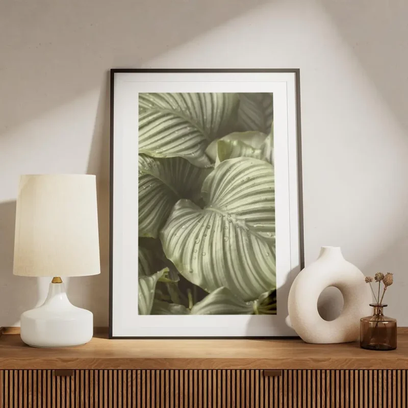 affiche de feuilles de calathea hosta vertes a rayures grises avec des gouttes d meuble.webp