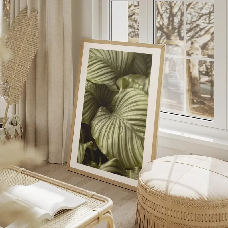 affiche de feuilles de calathea hosta vertes a rayures grises avec des gouttes d salon beige.webp