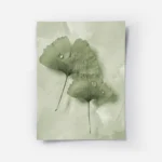 affiche de feuilles de ginkgo vertes avec des gouttes deau sur un fond apaisant .webp