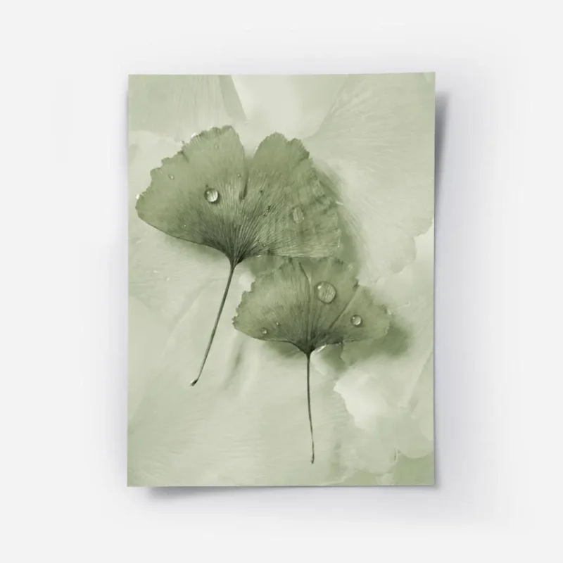 affiche de feuilles de ginkgo vertes avec des gouttes deau sur un fond apaisant .webp