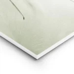 affiche de feuilles de ginkgo vertes avec des gouttes deau sur un fond apaisant lightpanel.webp