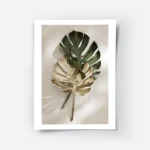 affiche de feuilles de monstera une verte et une doree posees sur un fond clair .webp