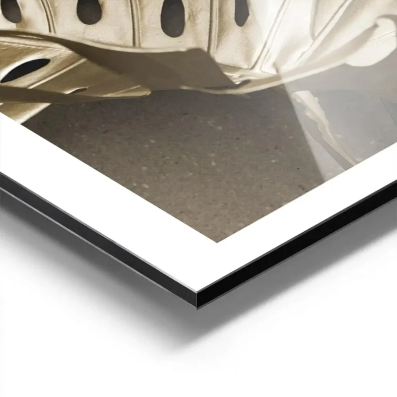 affiche de feuilles de monstera une verte et une doree sur un fond beige avec un aluminium.webp