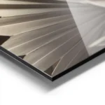 affiche de feuilles de palmier seche beige et marron clair aluminium.webp