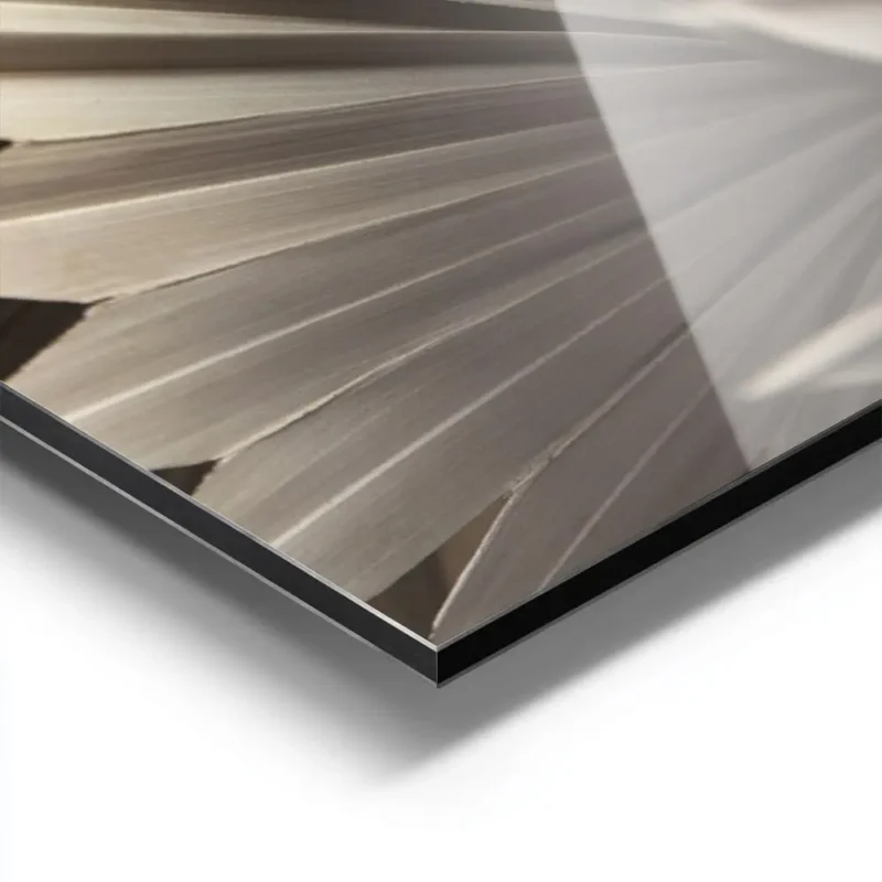 affiche de feuilles de palmier seche beige et marron clair aluminium.webp