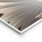 affiche de feuilles de palmier seche beige et marron clair lightpanel.webp
