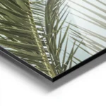 affiche de feuilles de palmier tropicales vertes luxuriantes sur fond clair ecla aluminium.webp