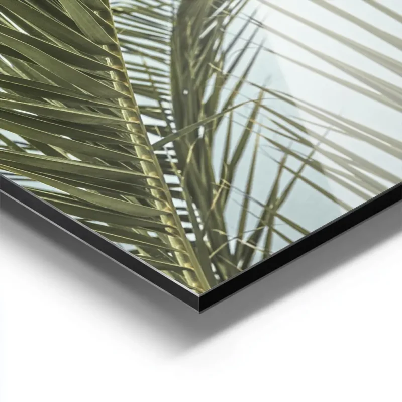 affiche de feuilles de palmier tropicales vertes luxuriantes sur fond clair ecla aluminium.webp