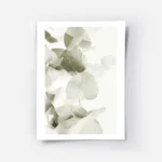 affiche de feuilles deucalyptus vert gris avec des ombres transparentes sur fond.webp