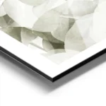 affiche de feuilles deucalyptus vert gris avec des ombres transparentes sur fond aluminium.webp
