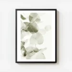 affiche de feuilles deucalyptus vert gris avec des ombres transparentes sur fond avec cadre.webp