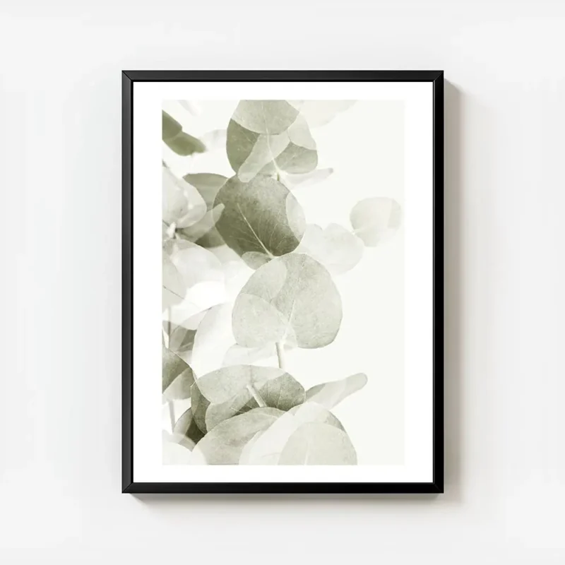 affiche de feuilles deucalyptus vert gris avec des ombres transparentes sur fond avec cadre.webp
