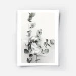 affiche de feuilles deucalyptus vertes sur fond gris clair photographie botaniqu.webp
