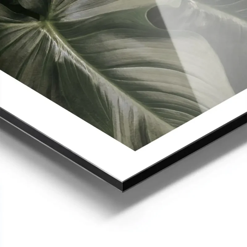 affiche de feuilles vert fonce aux nervures apparentes pour une decoration botan aluminium.webp