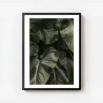 affiche de feuilles vert fonce aux nervures apparentes pour une decoration botan avec cadre.webp