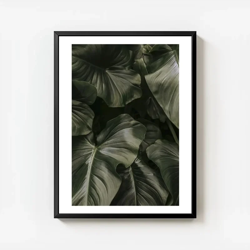 affiche de feuilles vert fonce aux nervures apparentes pour une decoration botan avec cadre.webp