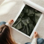 affiche de feuilles vert fonce aux nervures apparentes pour une decoration botan en rouleau.webp