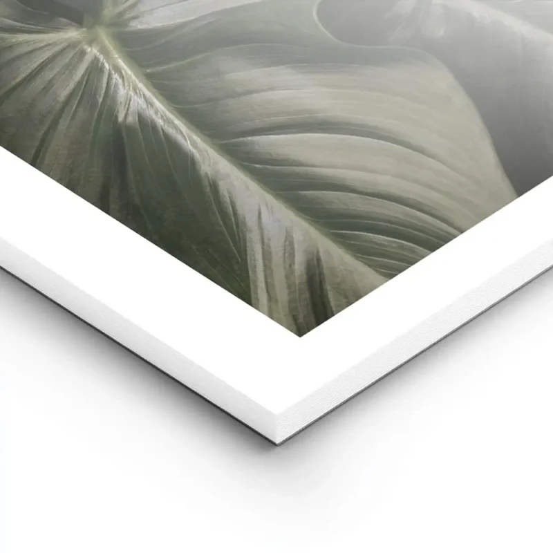 affiche de feuilles vert fonce aux nervures apparentes pour une decoration botan lightpanel.webp