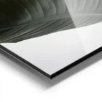 affiche de feuilles vertes de strelitzia sur fond blanc typographie minimaliste aluminium.webp
