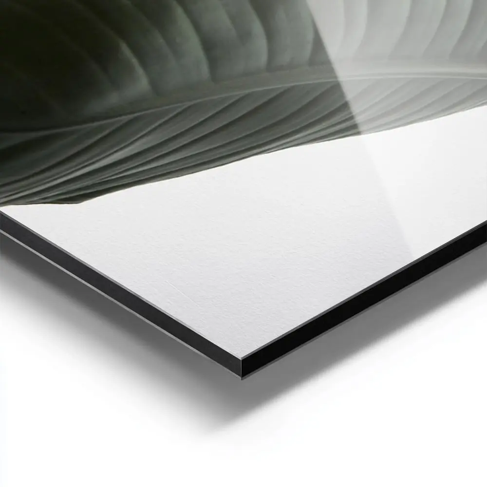 Image galerie 9