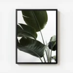 affiche de feuilles vertes de strelitzia sur fond blanc typographie minimaliste avec cadre.webp