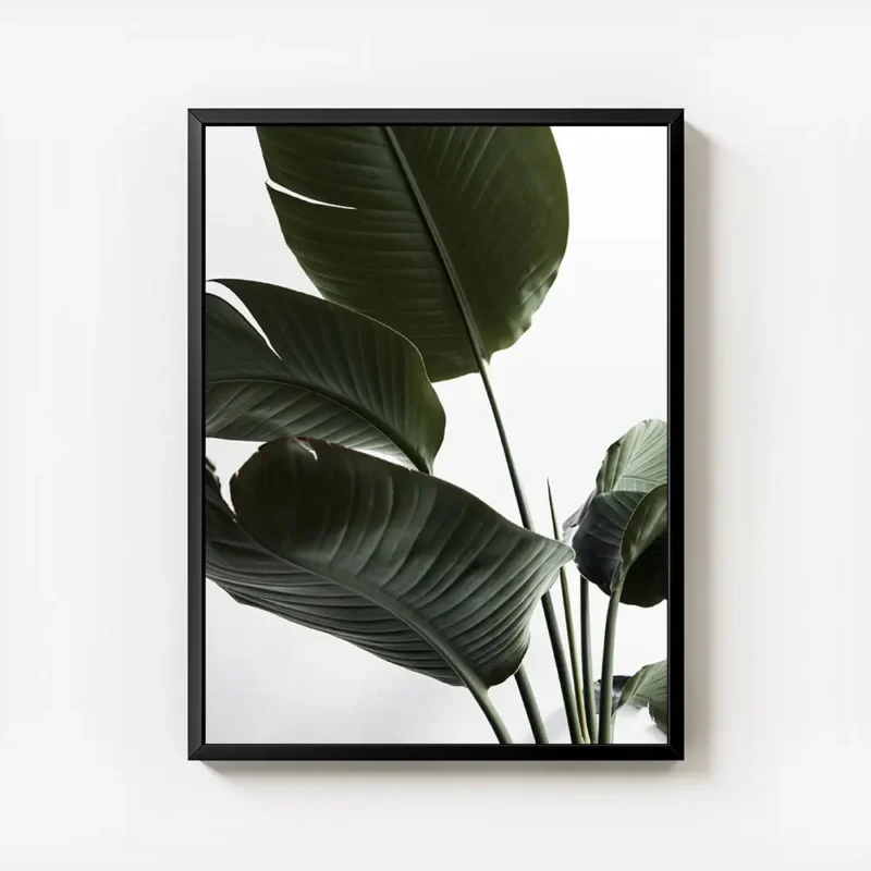affiche de feuilles vertes de strelitzia sur fond blanc typographie minimaliste avec cadre.webp