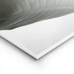 affiche de feuilles vertes de strelitzia sur fond blanc typographie minimaliste lightpanel.webp