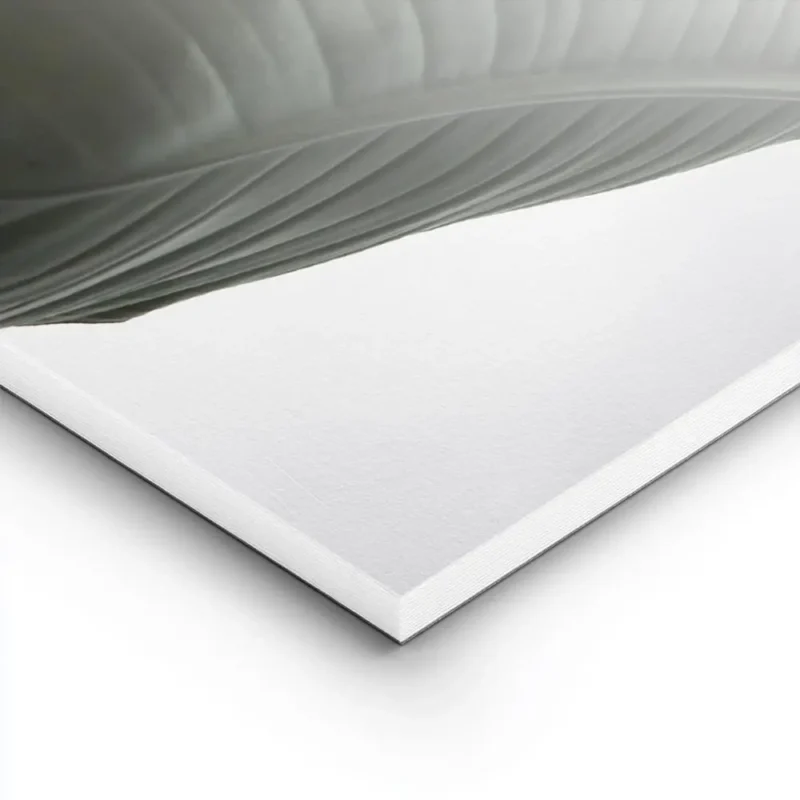 affiche de feuilles vertes de strelitzia sur fond blanc typographie minimaliste lightpanel.webp
