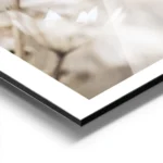 affiche de fleur beige clair sechee en gros plan avec des lignes foncees sur les aluminium.webp